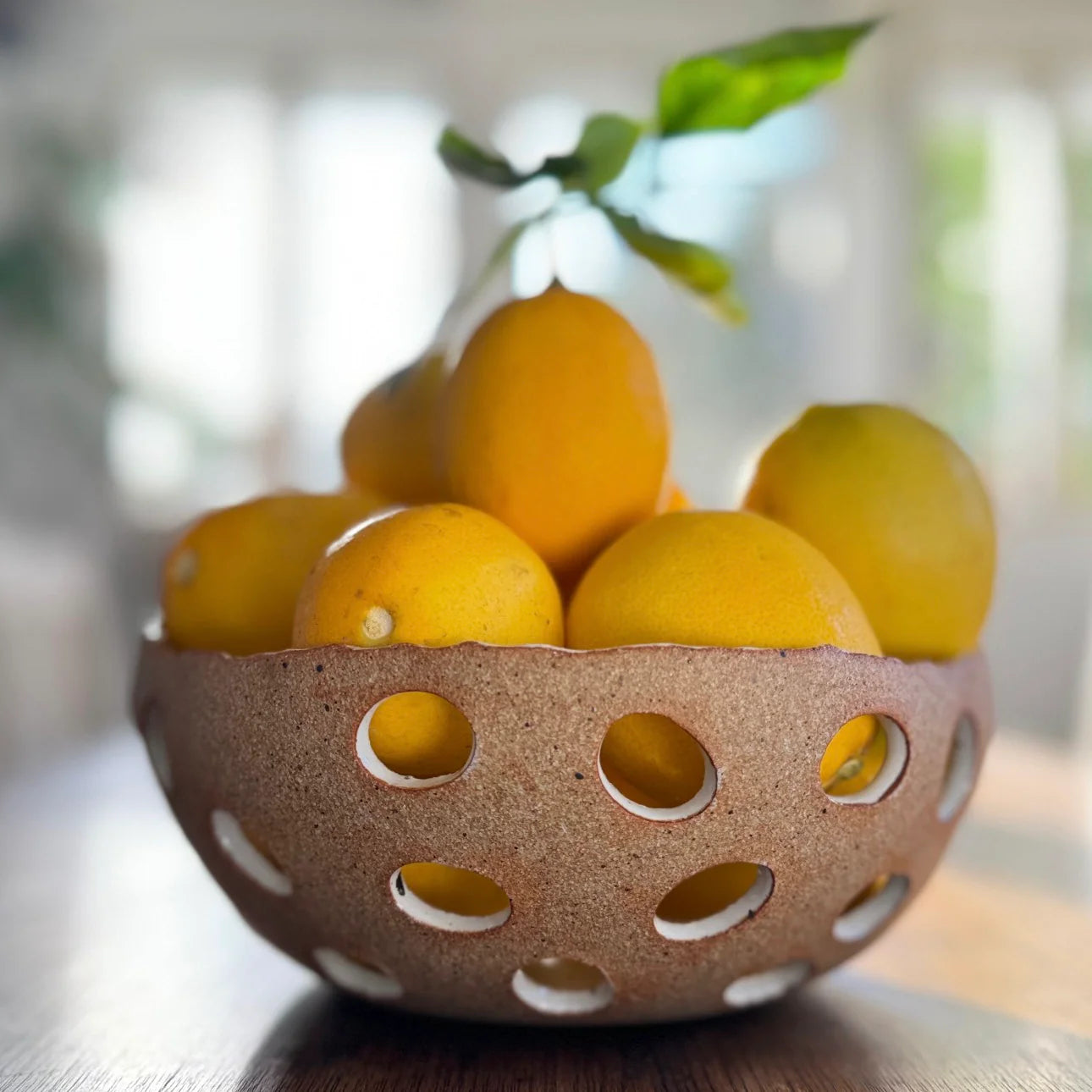 Fruit Bowls - Naked