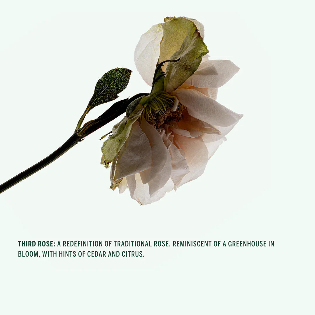 Third Rose Body Wash