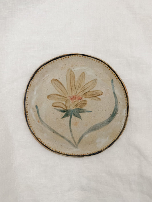 Heliposis 6" Plate
