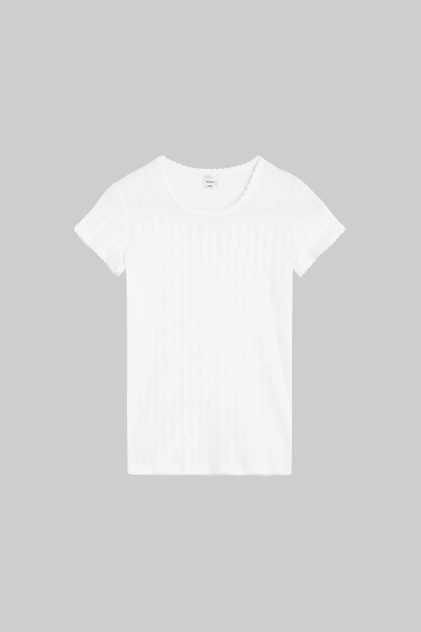 Pointelle Slim Fit Tee - White