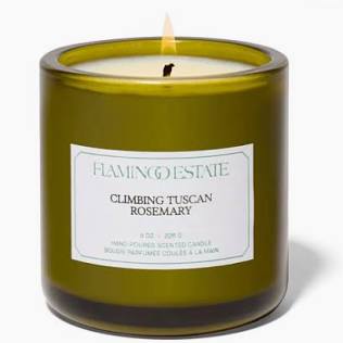 Climbing Tuscan Candle Rosemary